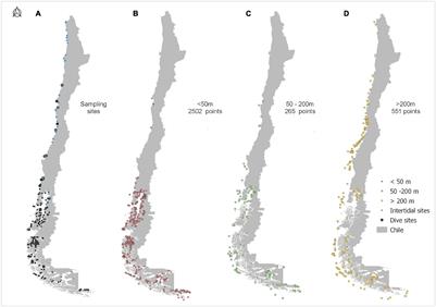 Species That Fly at a Higher Game: Patterns of Deep–Water Emergence Along the Chilean Coast, Including a Global Review of the Phenomenon